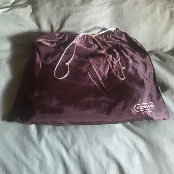 BNWT LARGE COACH SIGNATURE CARLY BABY BLUE INTERIOR - Picture 14 of 14